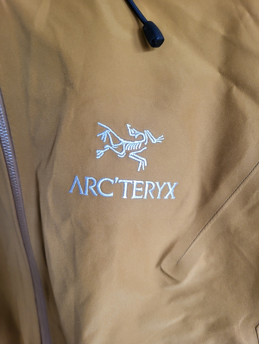 Arcteryx Beta LT - Picture 4 of 14